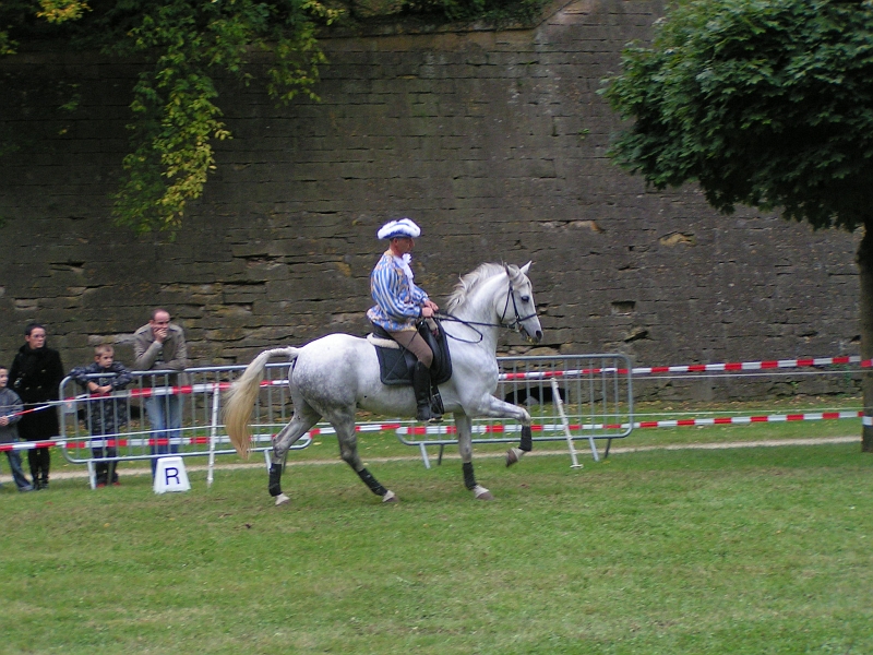 REMPARTS LONGWY 2008 289.jpg